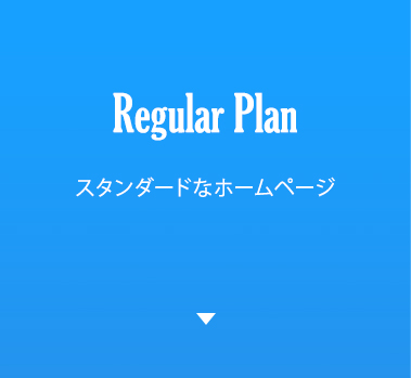 Regular Plan