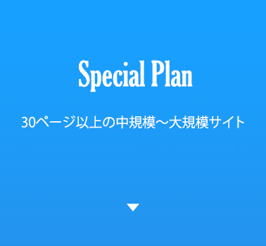 Special Plan