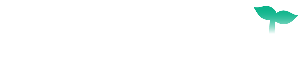 合同会社SowingSeeds（ソーイングシーズ） 福岡のホームページ制作会社 各種クリエイティブサービス承ります